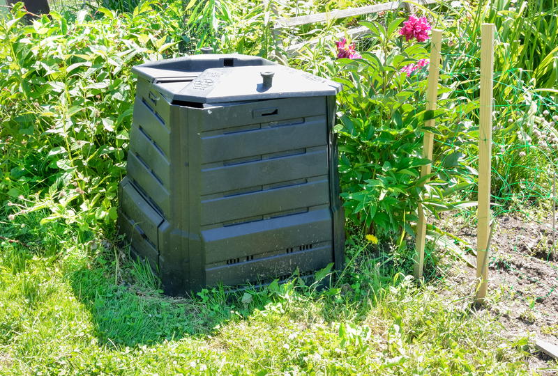 Creating Impactful Recycling Programs in Schools