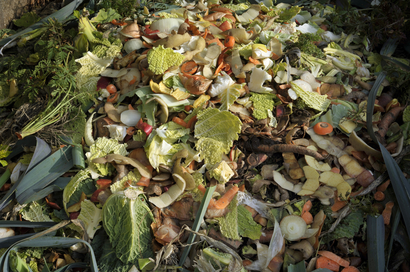 waste collection home