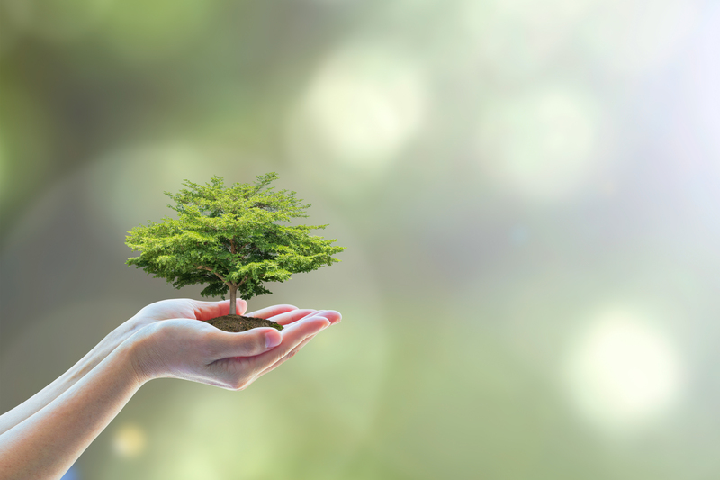 Going Green: Effective Waste Reduction Techniques for Your Office